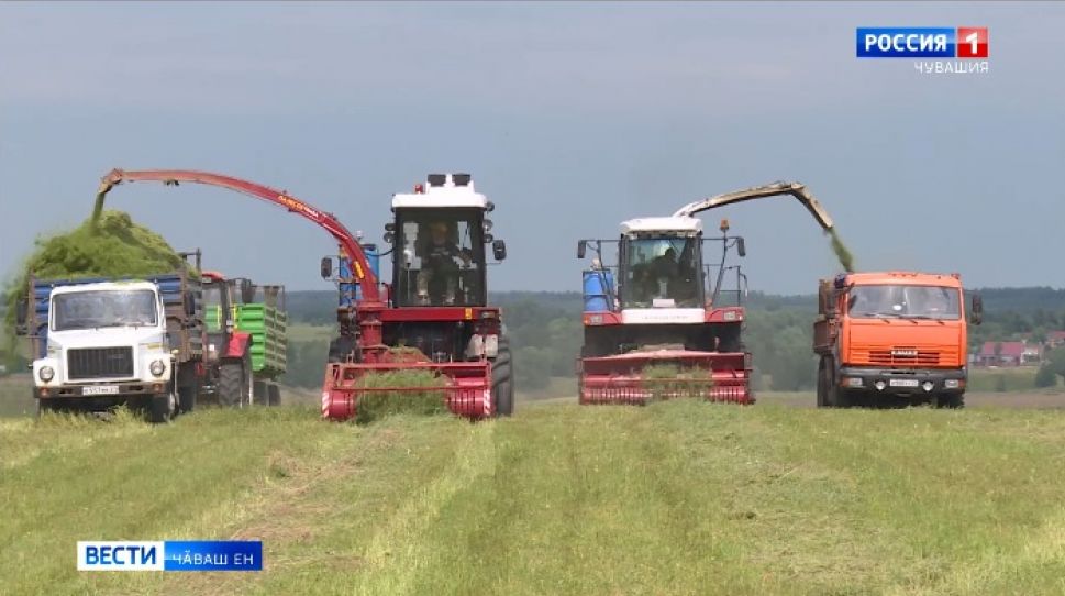 Республикӑн ял хуҫалӑх министерстви ҫӗршыври агропромышленноҫ предприятийӗсемпе килӗштерсе ӗҫлӗ