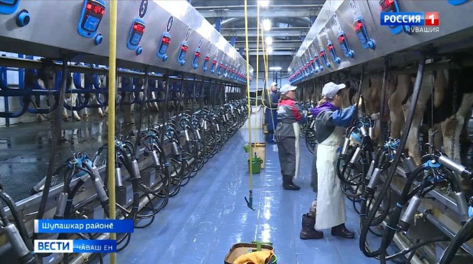 Ҫитӗнӳ вӑрттӑнлӑхӗ - ҫӗнӗ технологисенче
