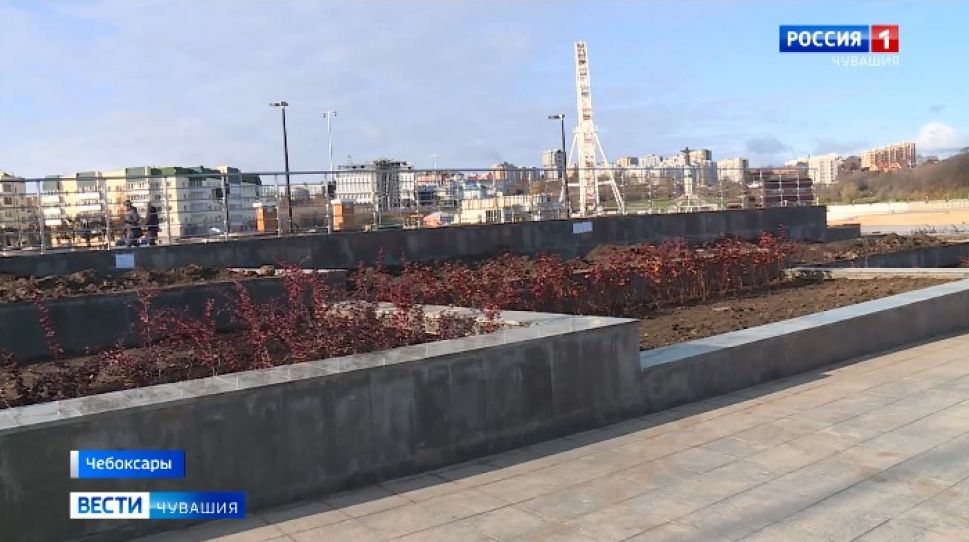 В Чебоксарах на Красной площади приступили к озеленению
