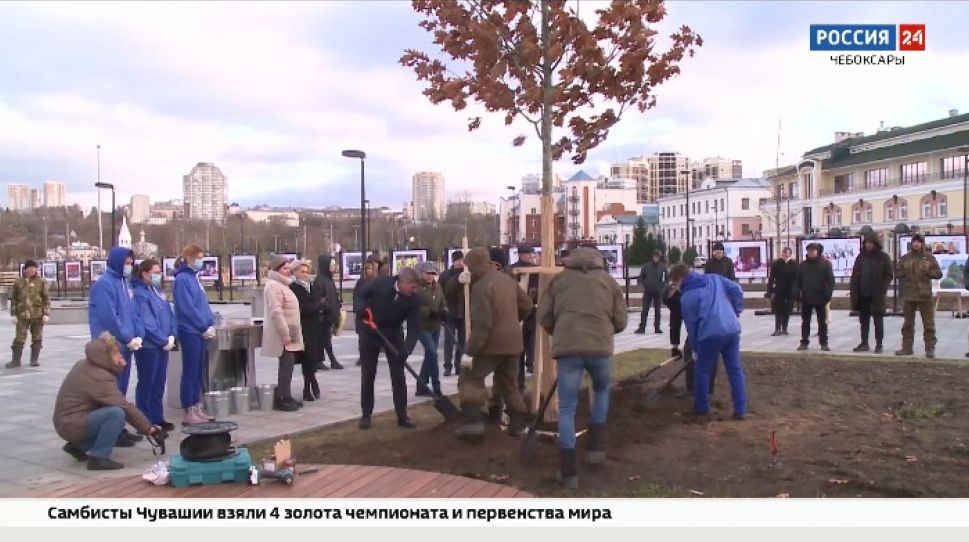 Олег Николаев высадил дуб на Красной площади Чебоксар