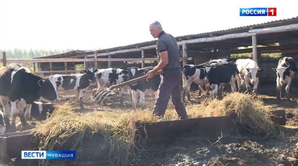За восемь лет в Чувашии помощь от государства получили 458 фермеров