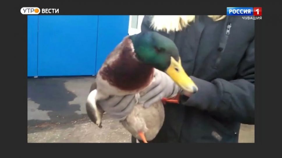  Мобильный репортер. Выпуск от 14.11.2020