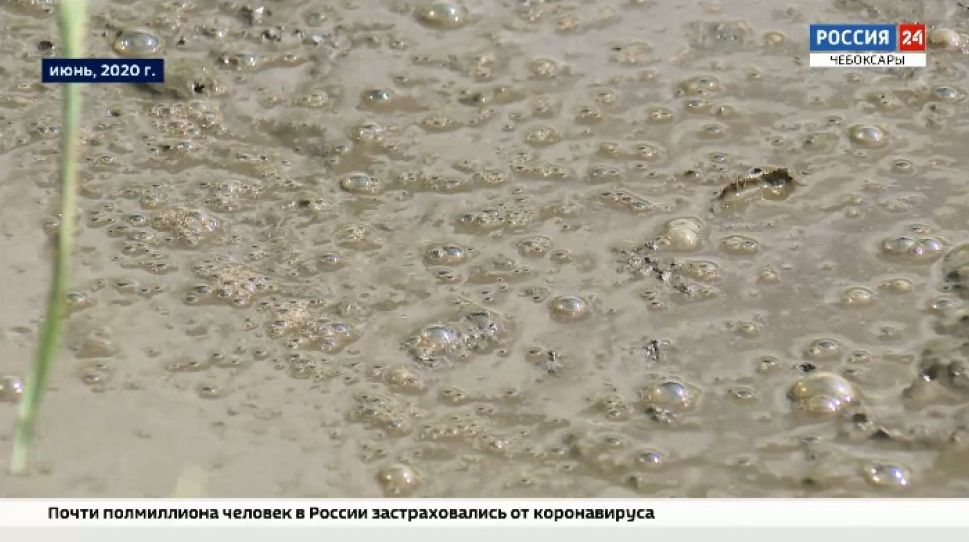 Дело нечисто: жители районов Чувашии жалуются на навозные реки