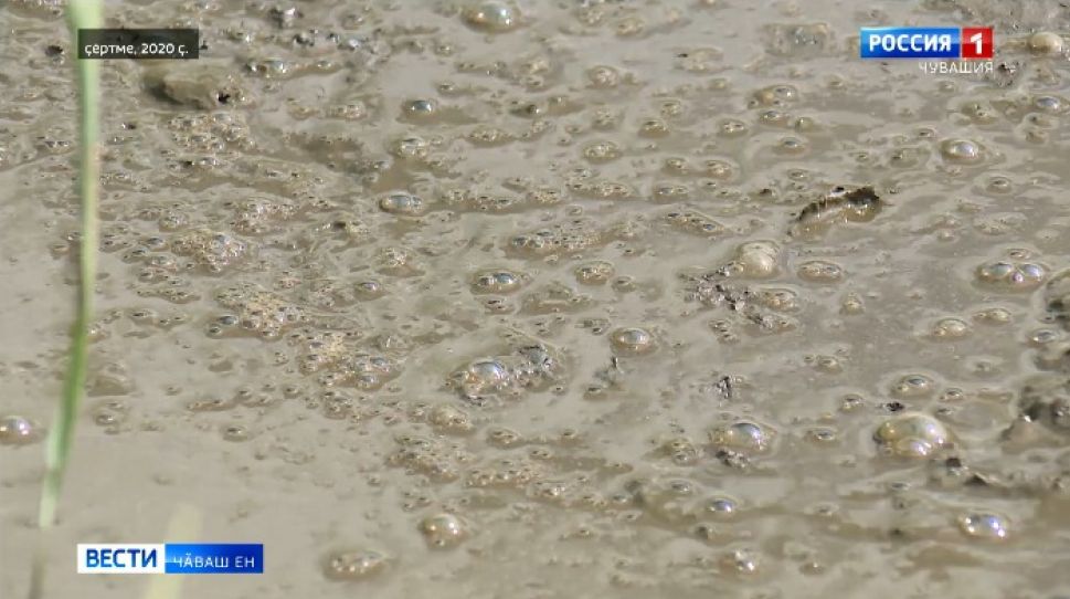 Муркаш тӑрӑхӗнчи тислӗкпе вараланӑ лаптӑка вырӑнти хуҫалӑх мӗншӗн халӗ те тасатмасть?