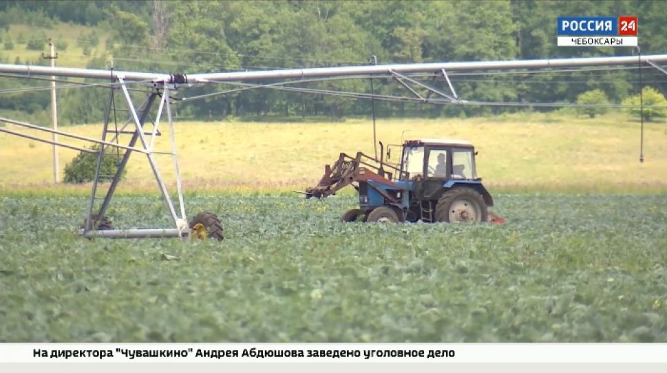 Гранты в Чувашии: мало получить, необходимо грамотно распорядиться