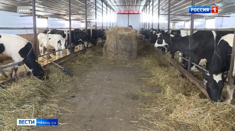 Чӑваш Ен ял хуҫалӑхӗнчи лару-тӑрӑва тишкерме хатӗрленет