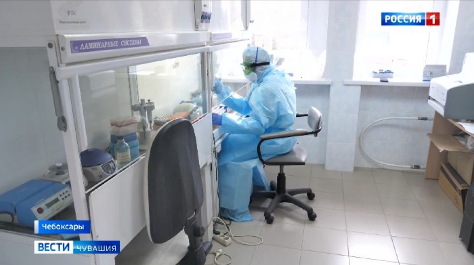 В Чувашии узнать результаты теста на COVID-19 теперь можно онлайн

