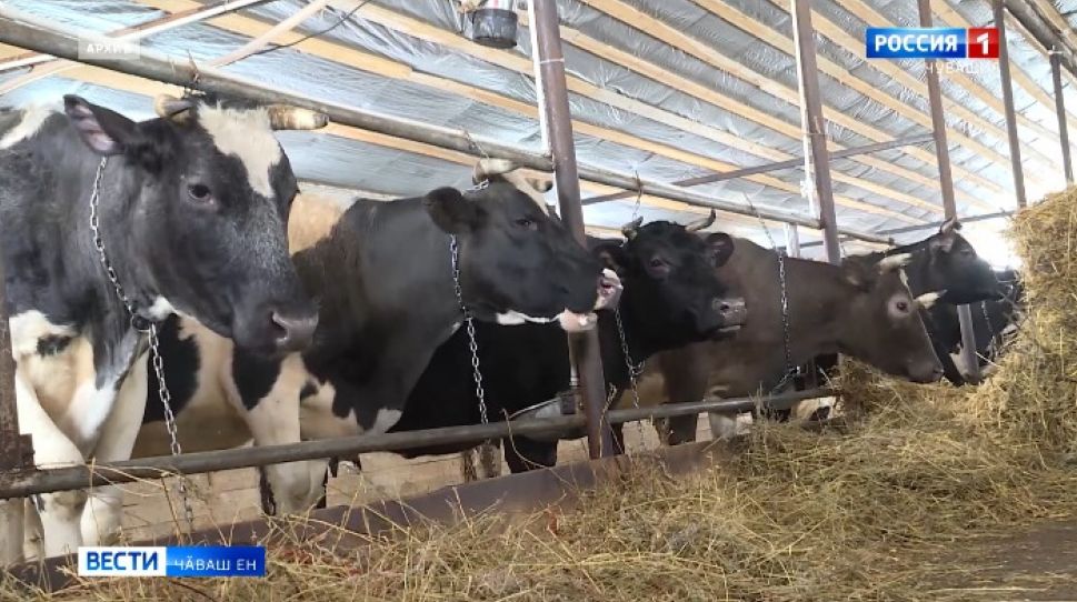 Республикӑри фермерсене шкула йыхравлаҫҫӗ 