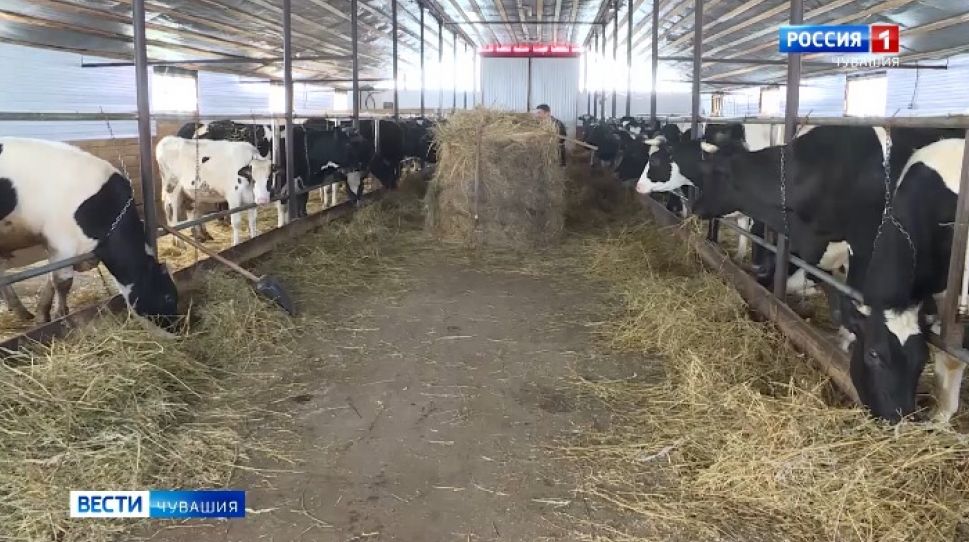 Чувашия готовится к сельскохозяйственной микропереписи