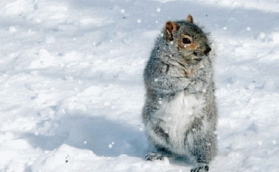 В Чувашии ожидаются морозы до - 32 градусов