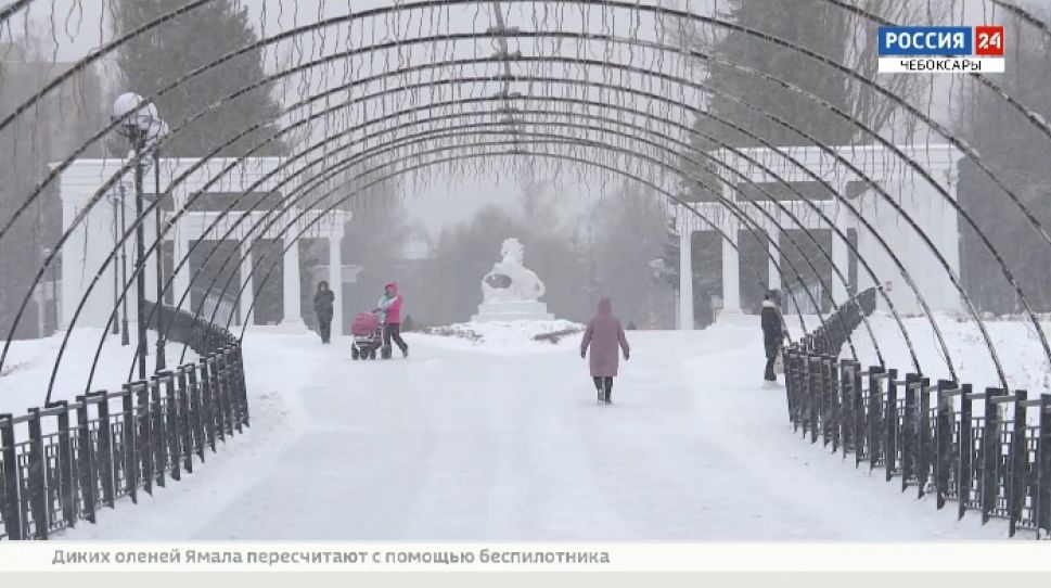 «Амазония» стала самой популярной площадкой для отдыха в новогодние каникулы