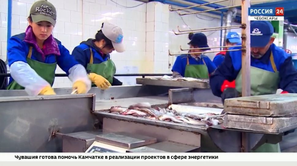 Чувашия планирует развивать сотрудничество с Камчаткой