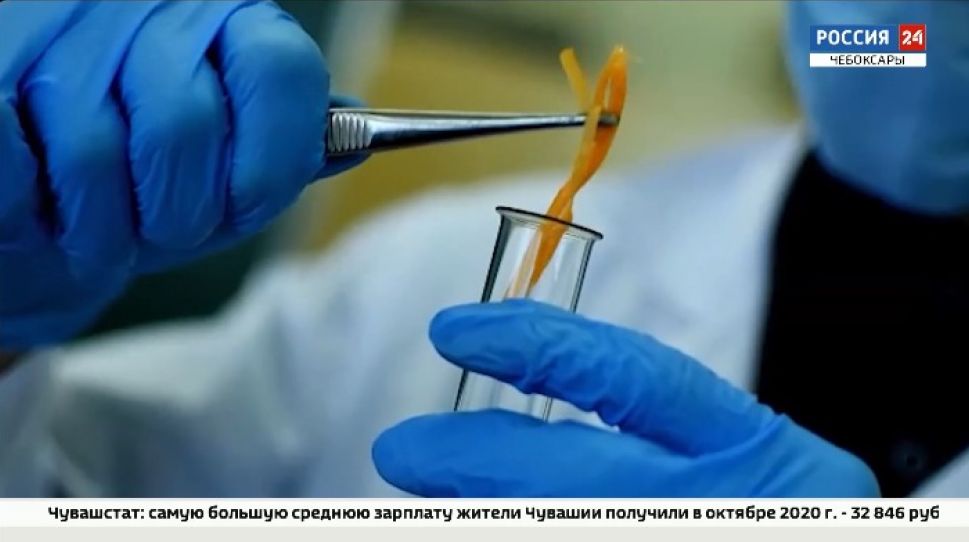 В Чебоксарах наградили победителей конкурса «Школьный ревизорро»