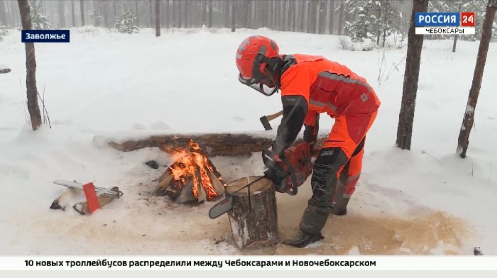 Хрупкая блондинка из Чувашии профессионально валит лес