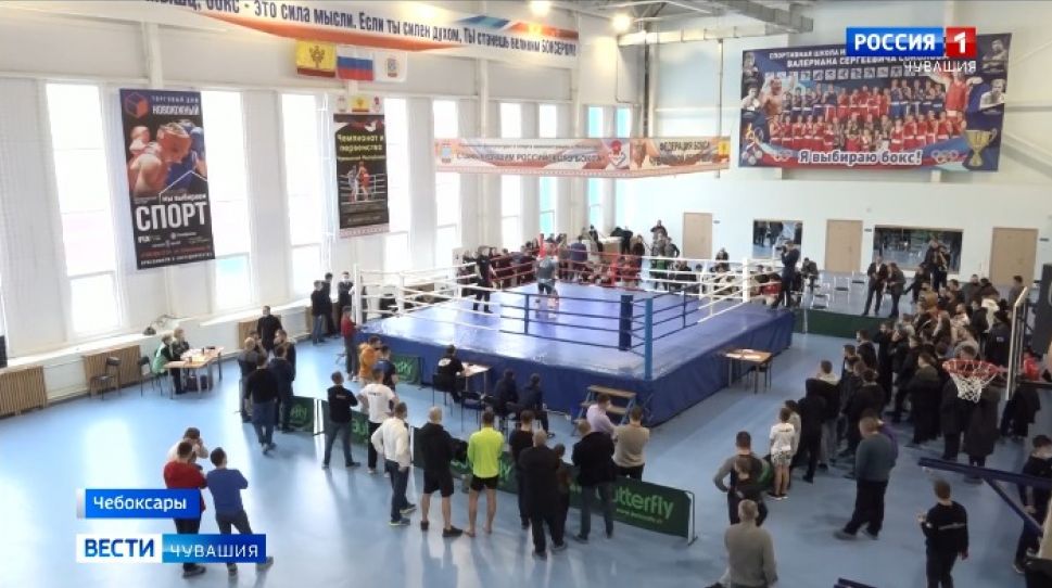 В Чебоксарах прошли чемпионат и первенство Чувашии по ММА