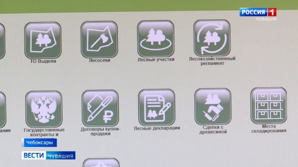 В России появится единая система учёта сделок с древесиной