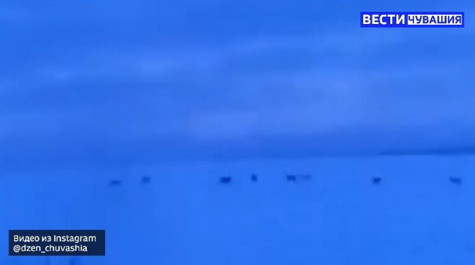 В Канашском районе была замечена стая из 17 волков