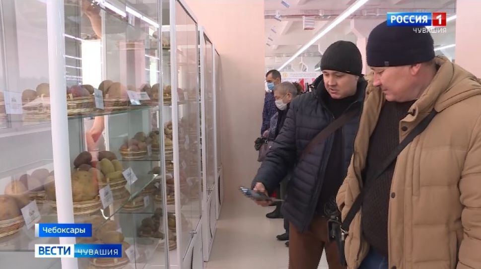 На Межрегиональную выставку "Картофель-2021"  продукцию представили 85 компаний
