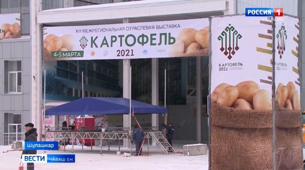 Паян Шупашкарта регионсен 13-мӗш ҫӗр улми куравӗ уҫӑлать 
