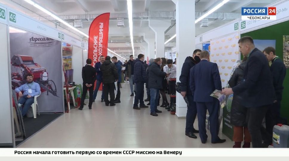 Лучшие сорта картофеля, удобрения, техника и всевозможные новации на выставке "Картофель-2021"