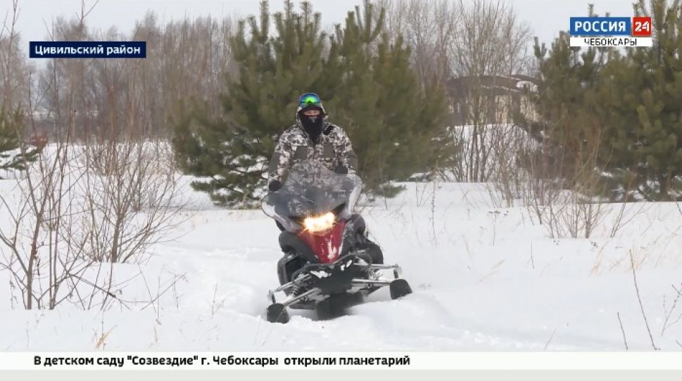 В Чувашии в целях профилактики инфекций ведут учет диких парнокопытных