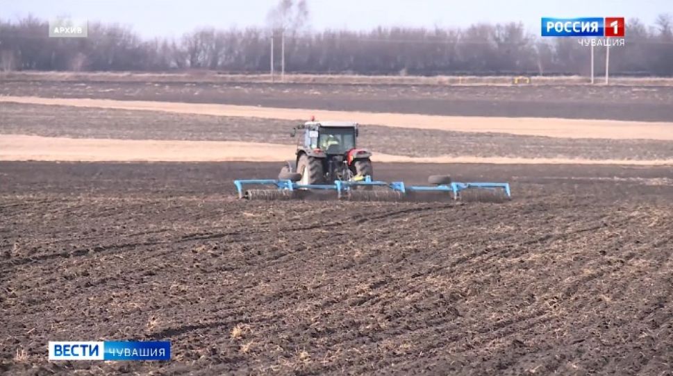 В Чувашии под урожай 2021 года посеяно 100 500 га озимых зерновых