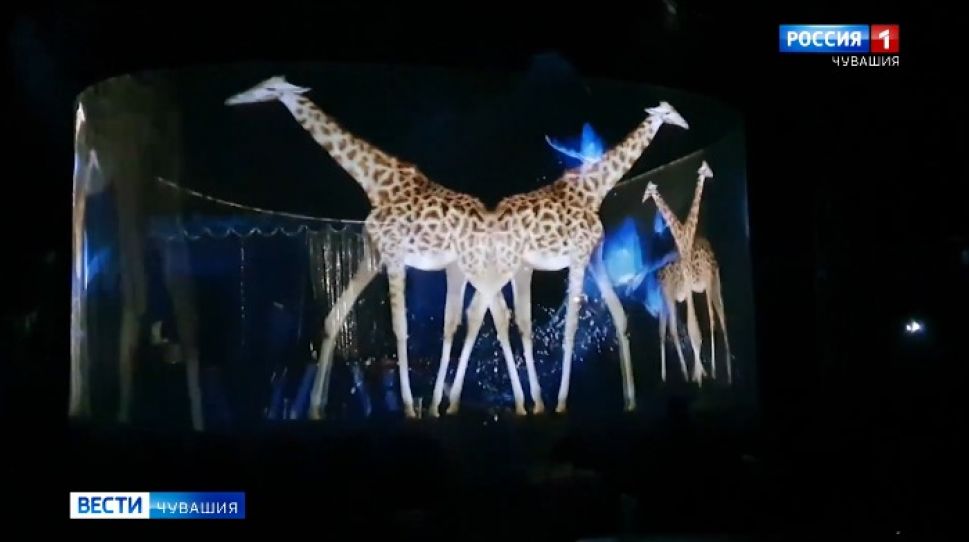 Внимание! Разыскивается голографическая такса!