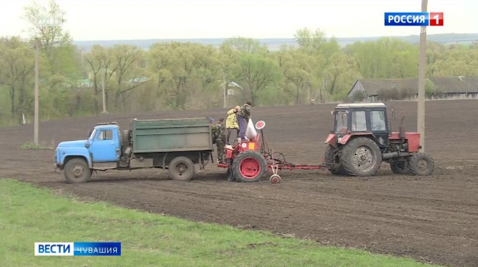 В Чувашии аграрии вышли на подкормку озимых