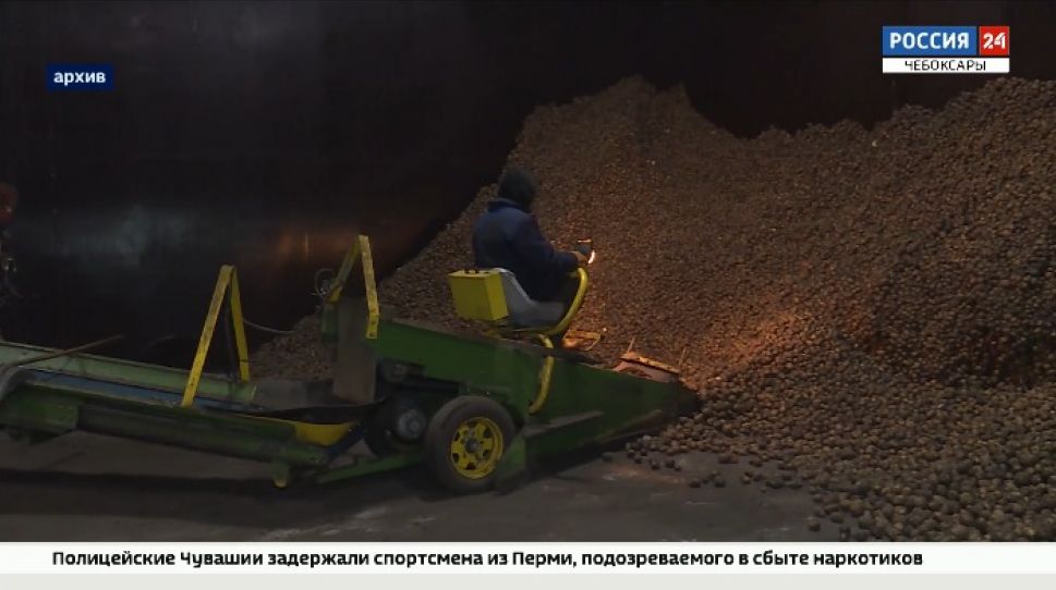 В Чувашии могут построить завод по производству крахмала