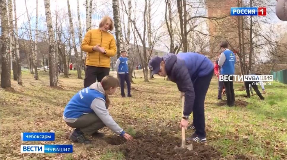 На территории школ и детских садов Чувашии появятся зеленые насаждения