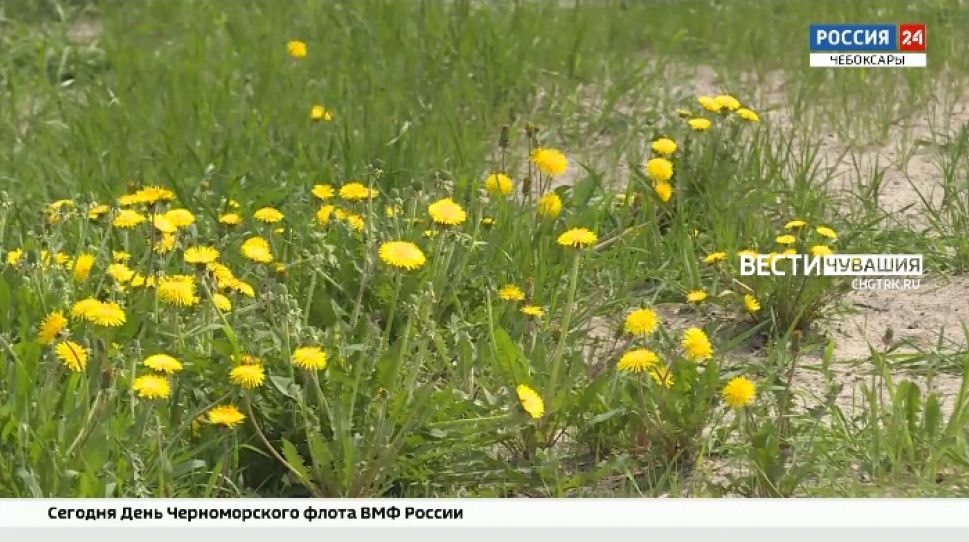 После жары в Чувашию могут прийти грозы