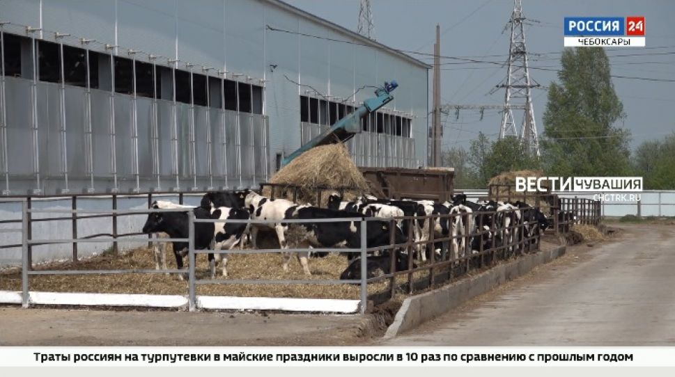 В Чувашии проходит конкурс на лучшего зоотехника