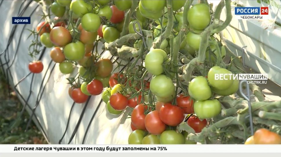 В Чувашии подвели итоги социально-экономического развития за 4 месяца 