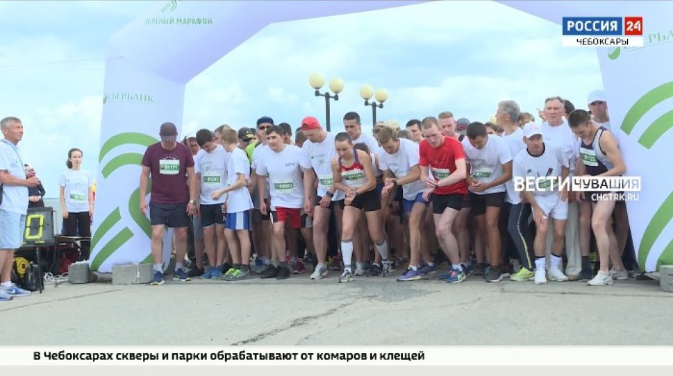 Для участников "Зеленого марафона" в Чебоксарах будет работать экофестиваль