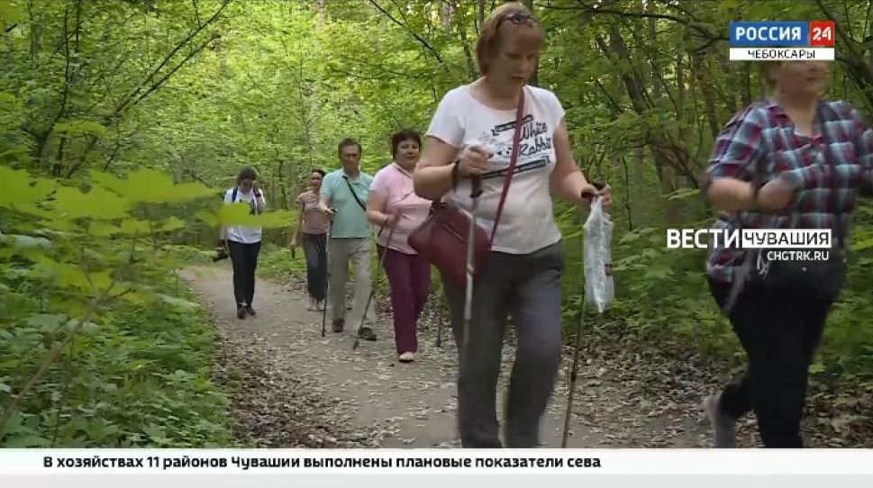 В этом году любители скандинавской ходьбы на «Зеленом марафоне» претендуют на медали