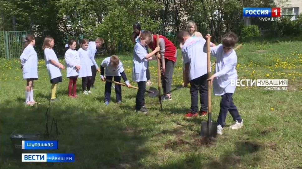Тӗп хулари вӗренекенсене Раҫҫейри шкул ачисен юхӑмне илчӗҫ