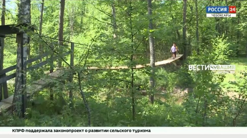 В Чувашии от клещей обработали 124 га зон отдыха
