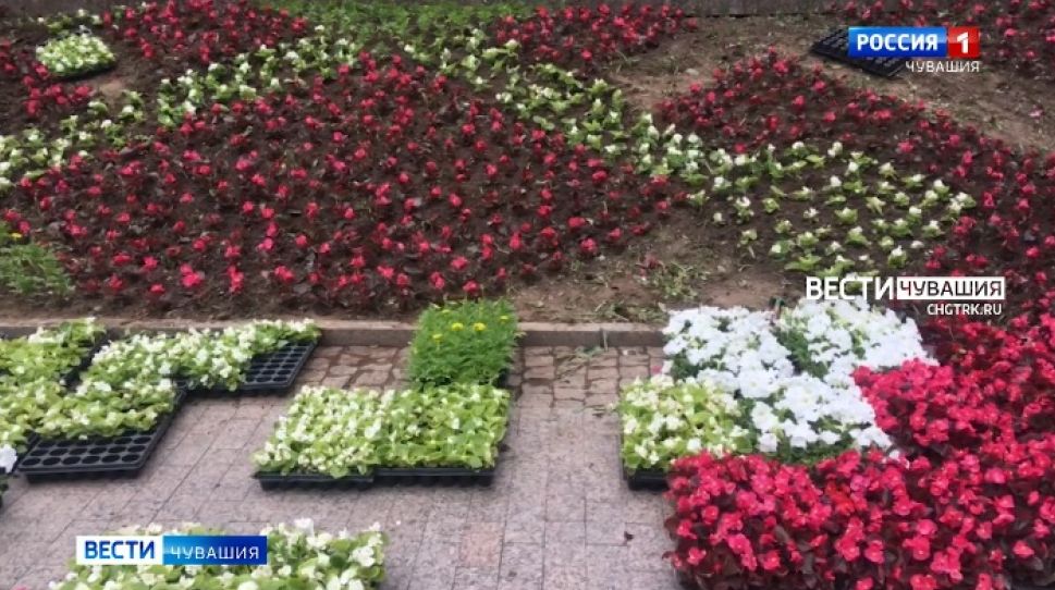 В Чебоксарах посадят самую большую в России цветочную клумбу, посвященную Волге