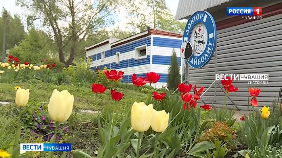 Родителям Чувашии за детский отдых вернут порядка 55 млн рублей 