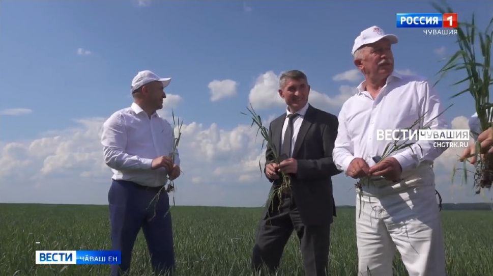 Уявра та савӑнчӗҫ, выльӑх-чӗрлӗх комплексне те хута ячӗҫ