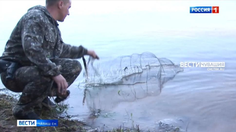 Йӗрке хуралҫисем пулӑ тытмалли саккуна мӗнле пӑхӑннине асӑрхаса тӑраҫҫӗ 
