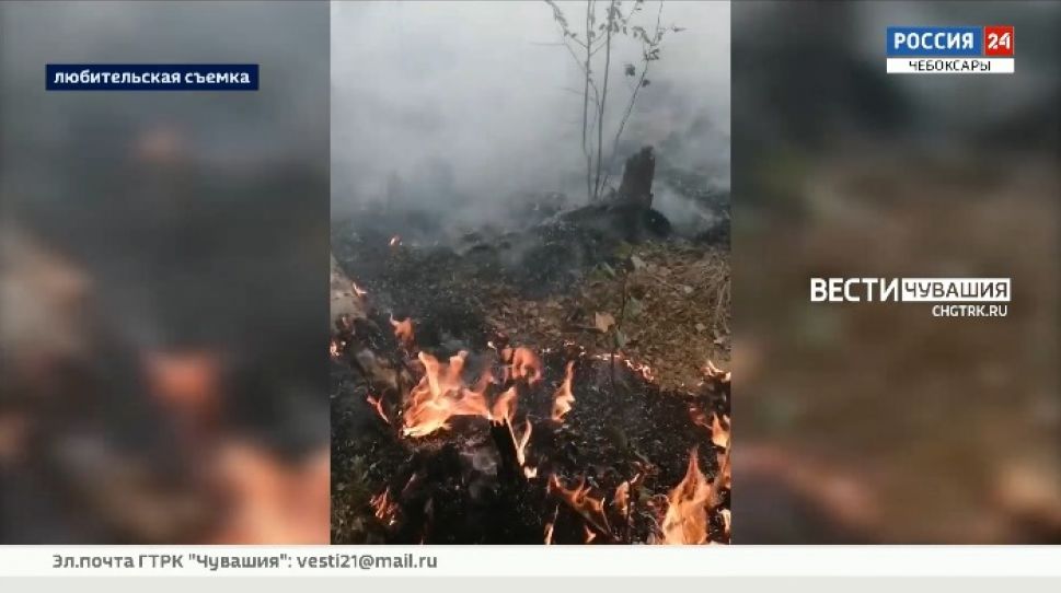 На территории Заволжья зафиксировали лесной пожар