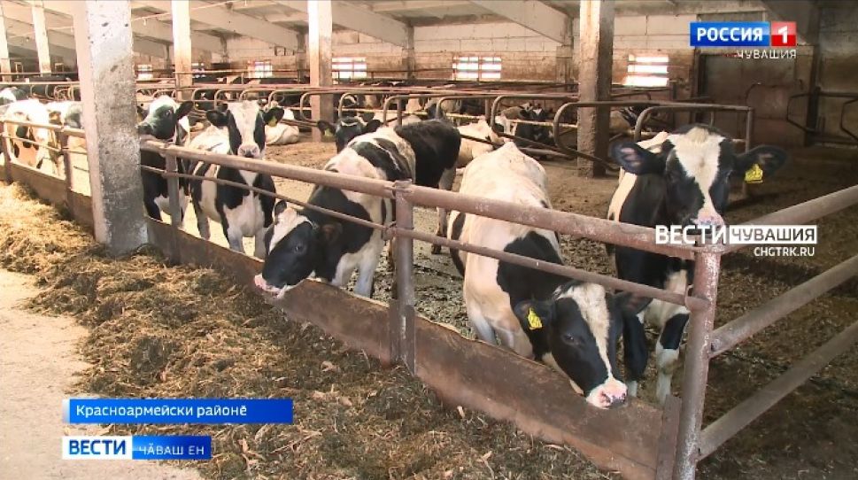 Тырӑ пуссисене хакланипе пӗрлех район аталанӑвӗпе кӑсӑкланчӗҫ 