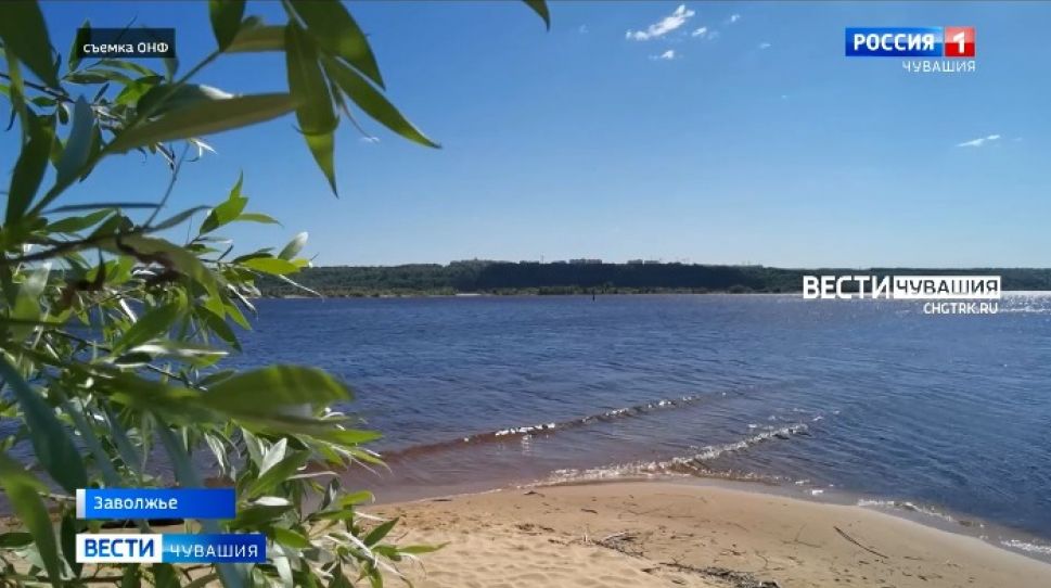 Активисты провели в Заволжье ежегодную акцию по очистке Волги