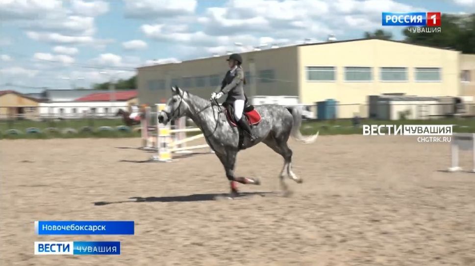В Чувашии разыграли награды открытого первенства республики по конкуру