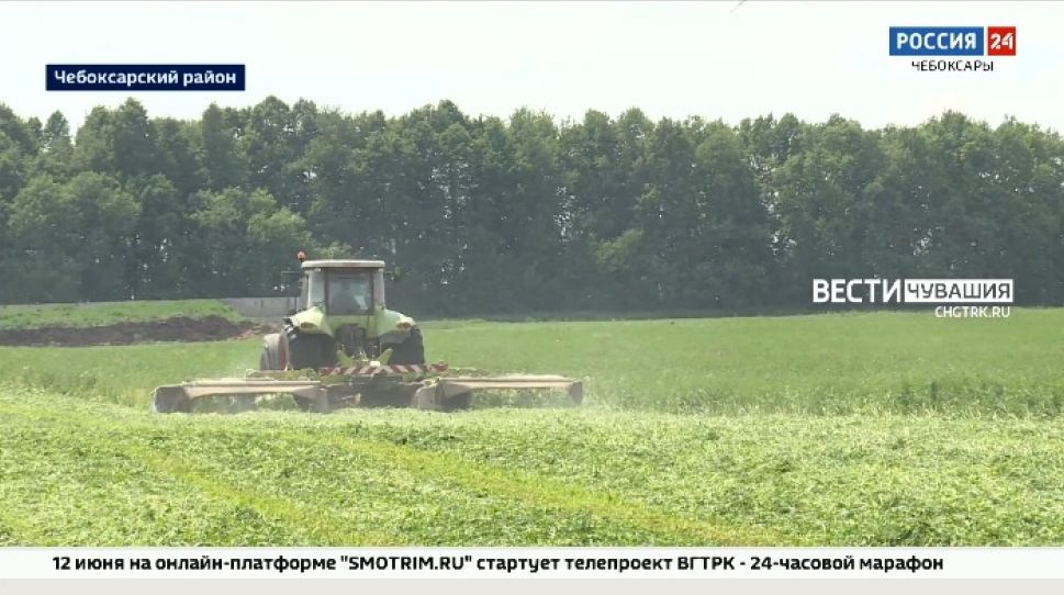 Аграриям Чувашии предстоит запасти 700 тысяч тонн сена, сенажа и силоса