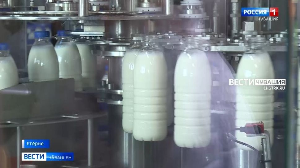 "Ядринмолоко" ҫавра ҫулне паллӑ тума хатӗрленет 