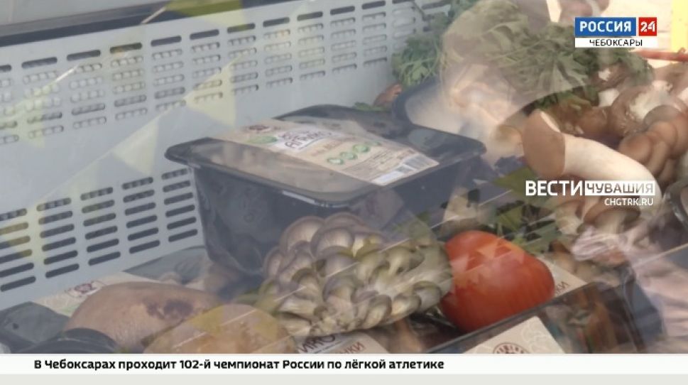 Второй день перед речным портом в Чебоксарах проходит фестиваль "Своё"