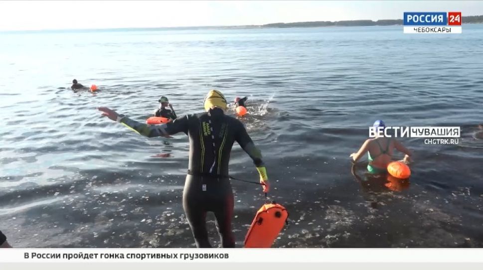 Заплыв через Волгу «Chebswim 2021» пройдет 3 июля