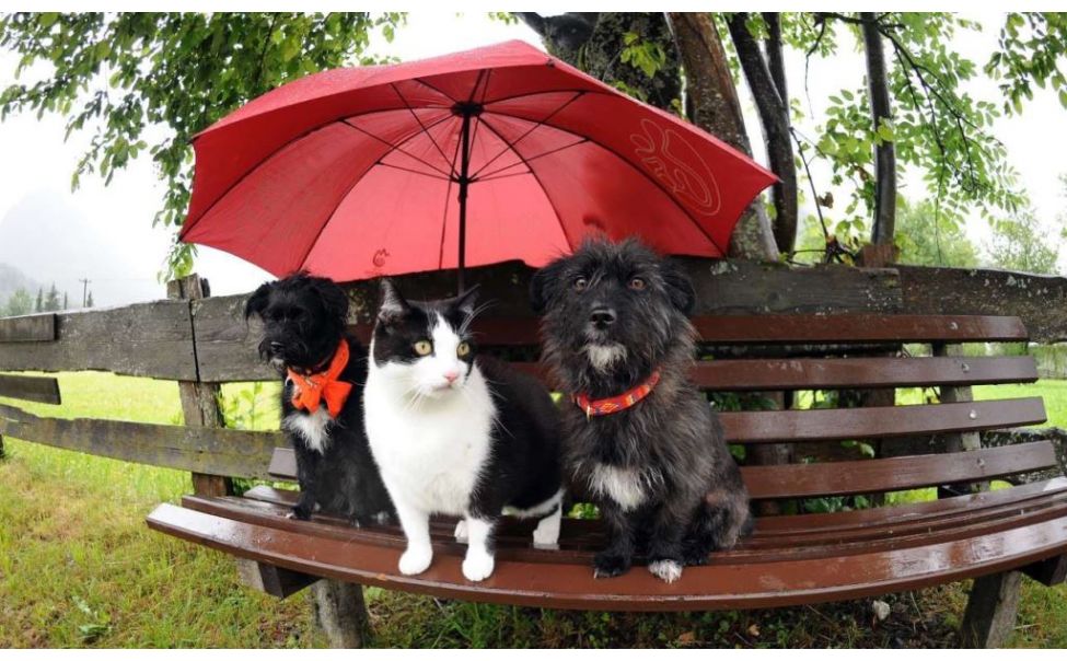 В выходные в Чувашии ожидаются грозы, дожди и до +26 градусов